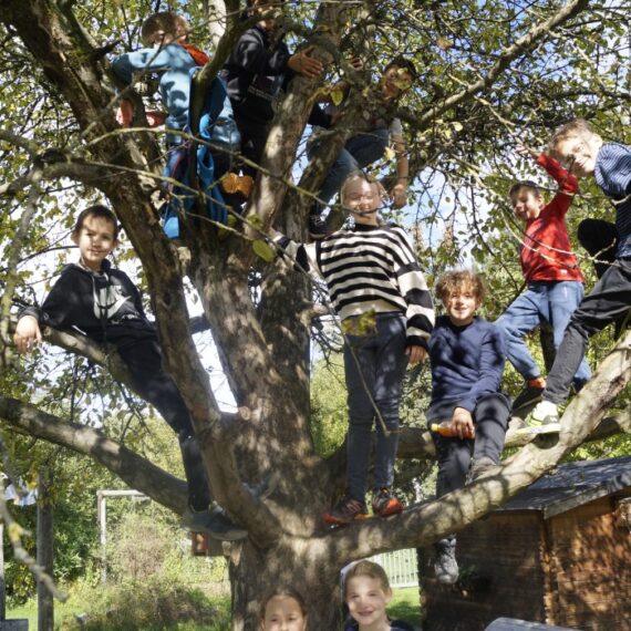 DSC1890-e1666174793599-700×700-1