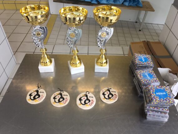 Pokale-und-Medaillen