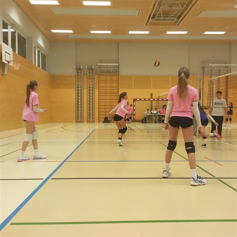 Volleyball (6)